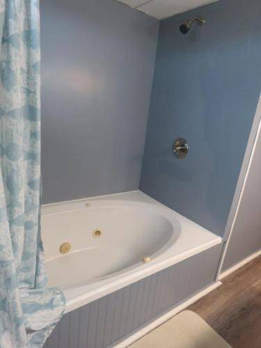 Bottom floor hall bath has a Jacuzzi tub and shower 